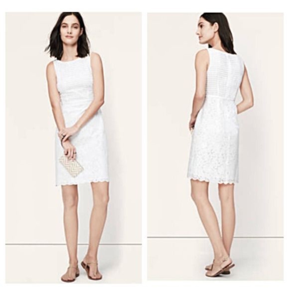 LOFT White Sleeveless Eyelet Dress Size 6